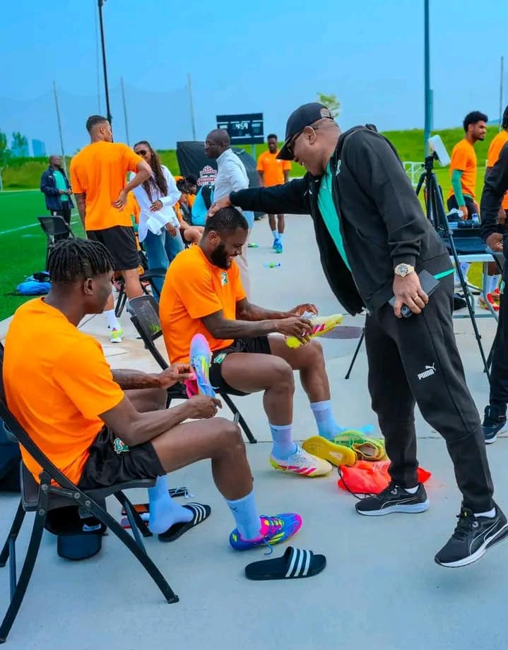 elephants-de-cote-divoire-lequipe-est-en-train-degringoler