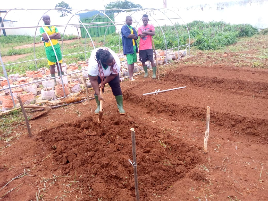 inscription-en-ligne-INFPA-2025-sur-le-site-infpa-org